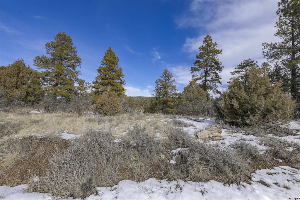 783 Gun Barrel Road Pagosa Springs CO 81147