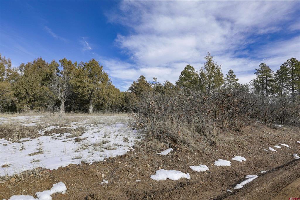 783 Gun Barrel Road Pagosa Springs CO 81147