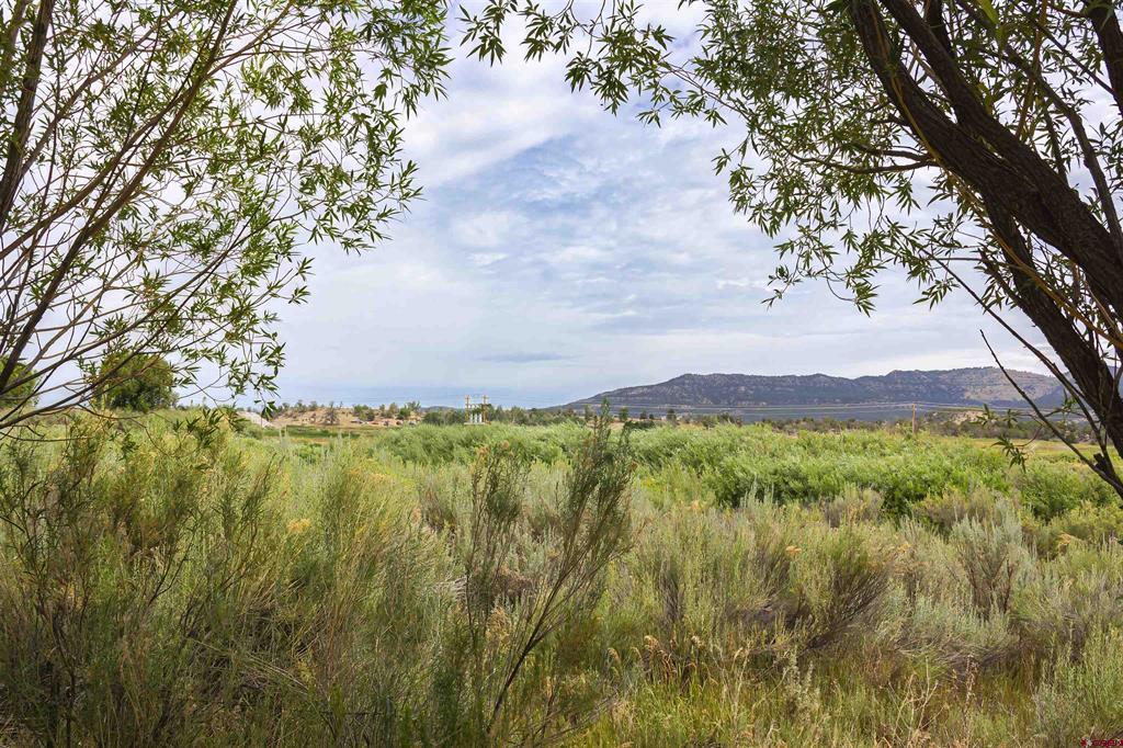 X Cox Circle Ignacio CO 81137