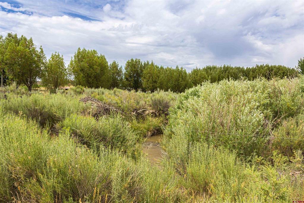 X Cox Circle Ignacio CO 81137