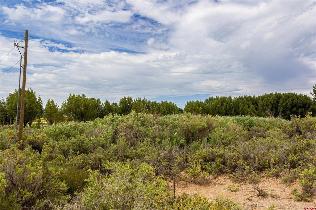 X Cox Circle Ignacio CO 81137