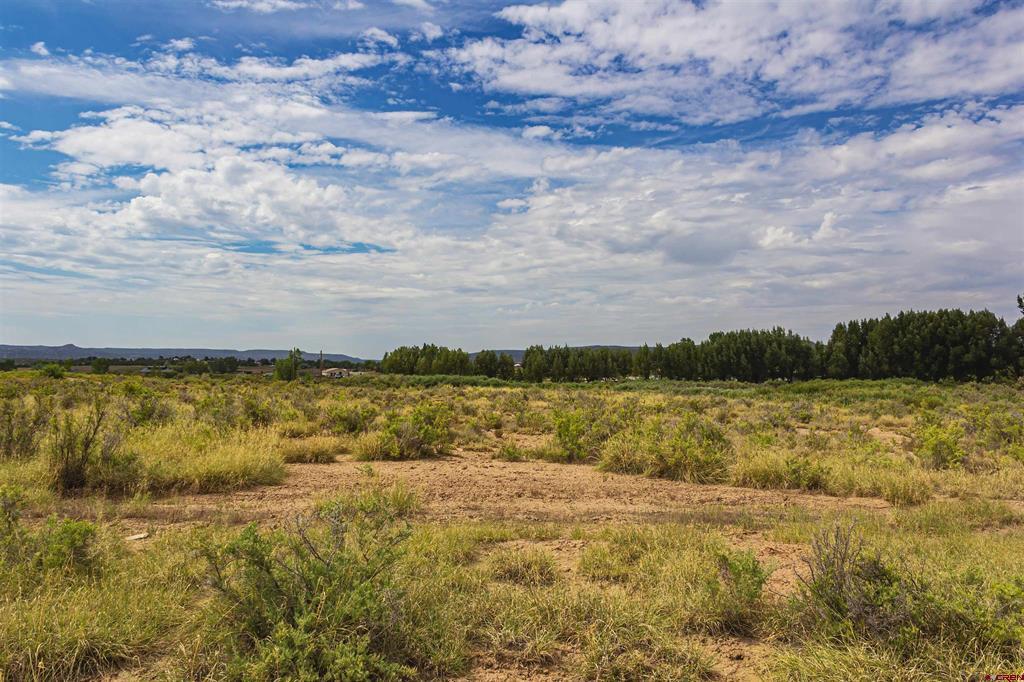 X Cox Circle Ignacio CO 81137