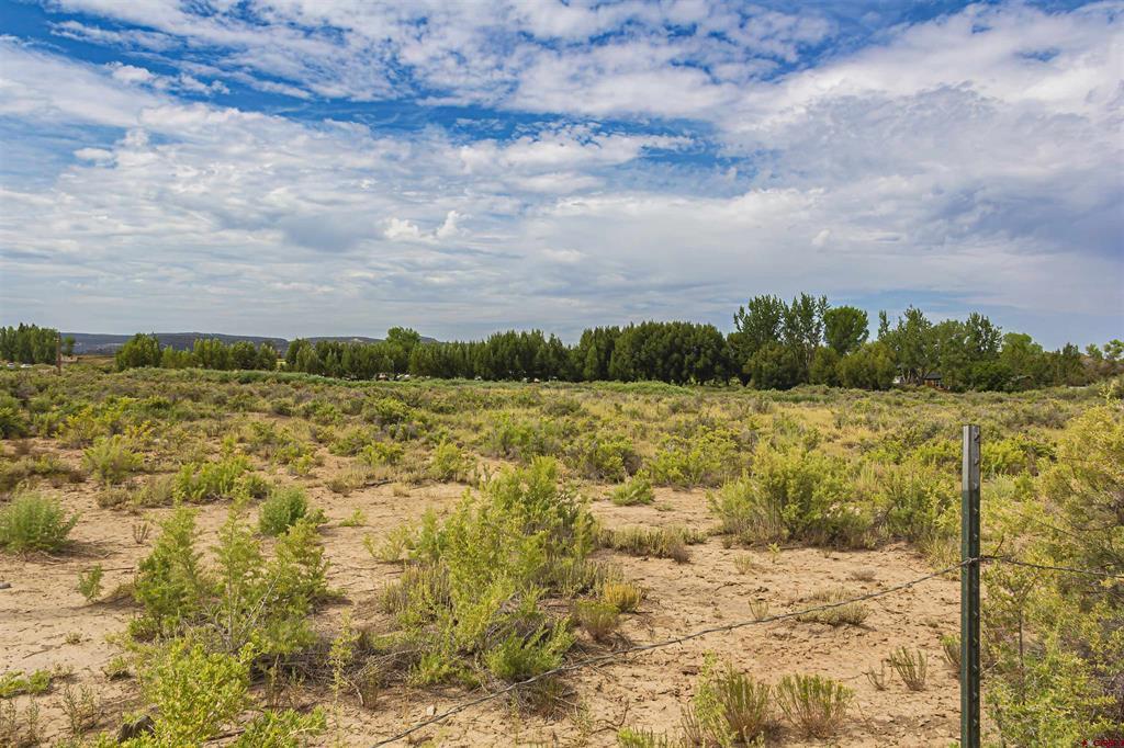 X Cox Circle Ignacio CO 81137