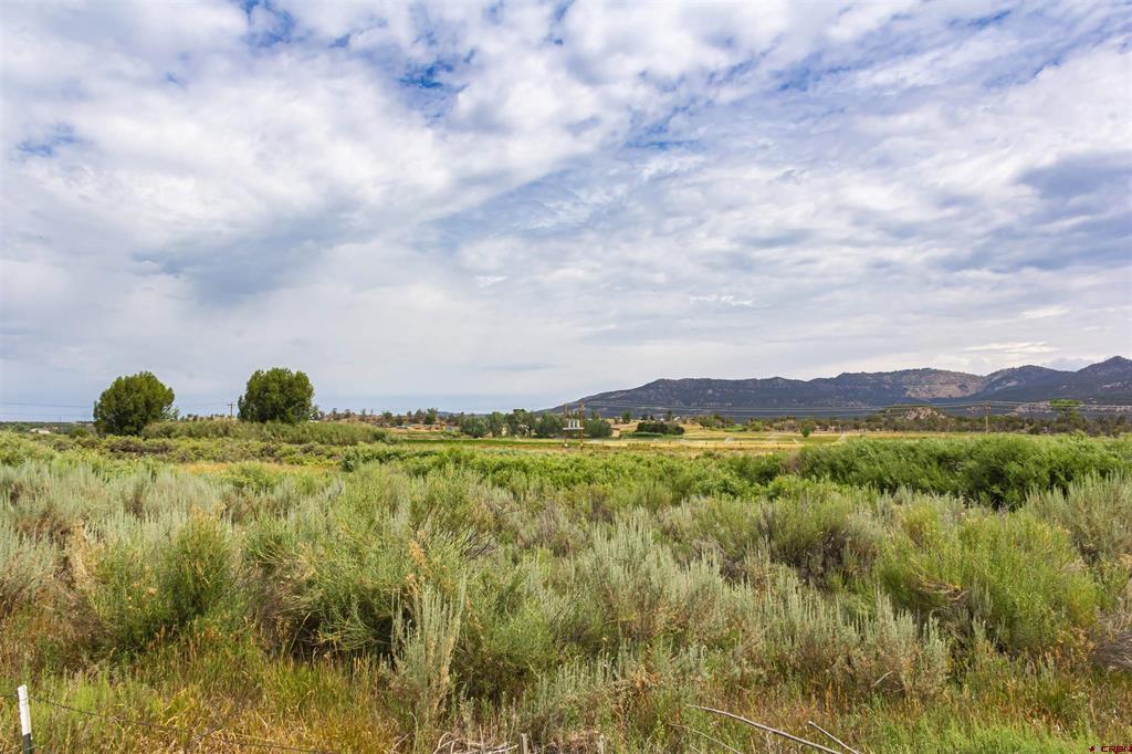 X Cox Circle Ignacio CO 81137