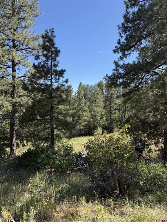 950 Deer Trial Road Durango CO 81303