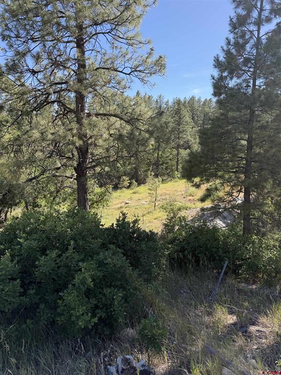 950 Deer Trial Road Durango CO 81303