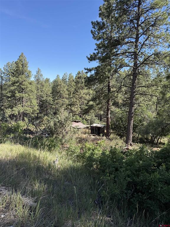 950 Deer Trial Road Durango CO 81303