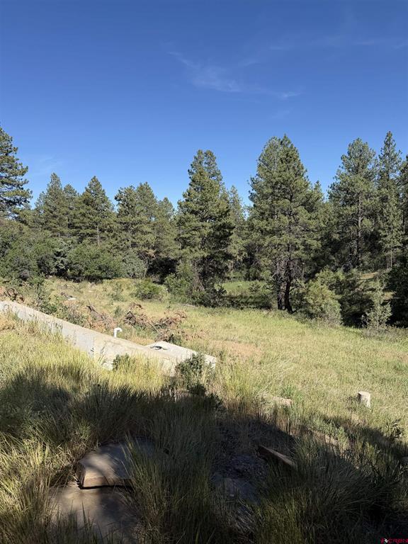 950 Deer Trial Road Durango CO 81303