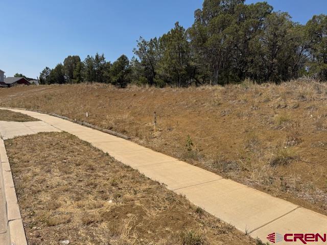 39 Salt Brush Street Durango CO 81301