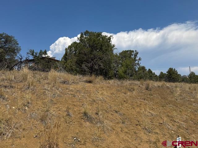 39 Salt Brush Street Durango CO 81301