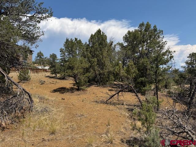 39 Salt Brush Street Durango CO 81301