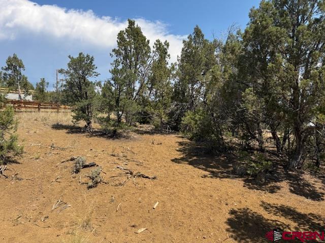 39 Salt Brush Street Durango CO 81301