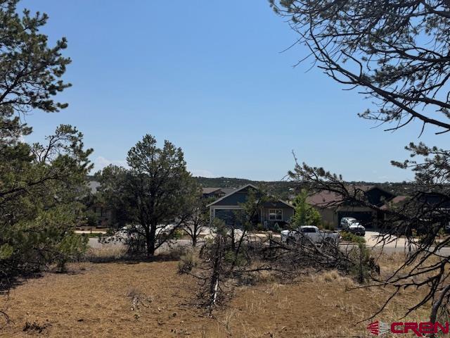 39 Salt Brush Street Durango CO 81301