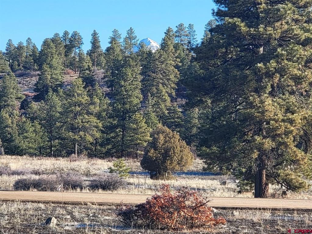 642 Trails Boulevard Pagosa Springs CO 81147