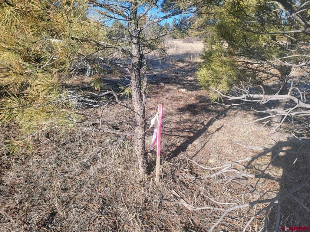 642 Trails Boulevard Pagosa Springs CO 81147