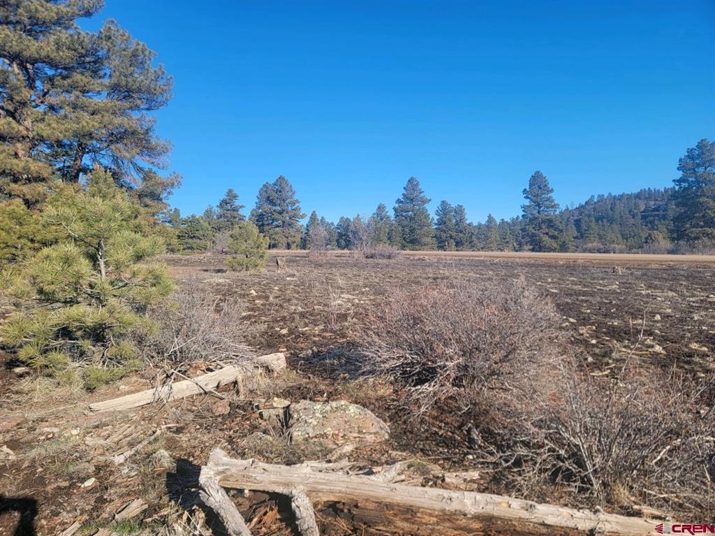 642 Trails Boulevard Pagosa Springs CO 81147