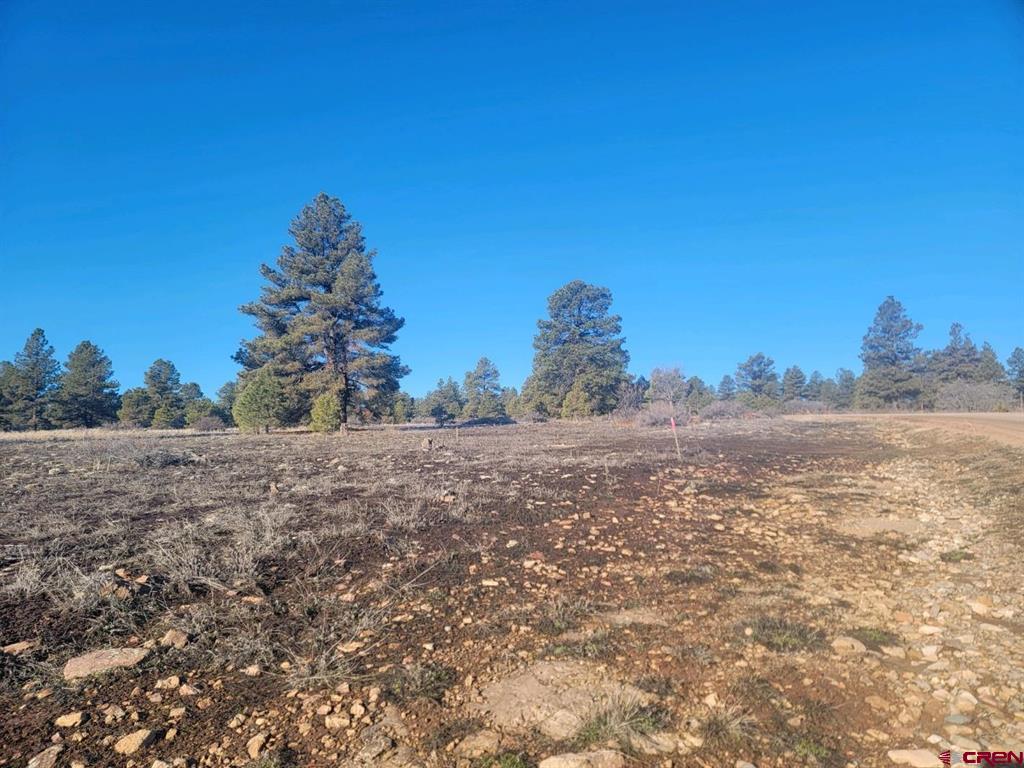 642 Trails Boulevard Pagosa Springs CO 81147