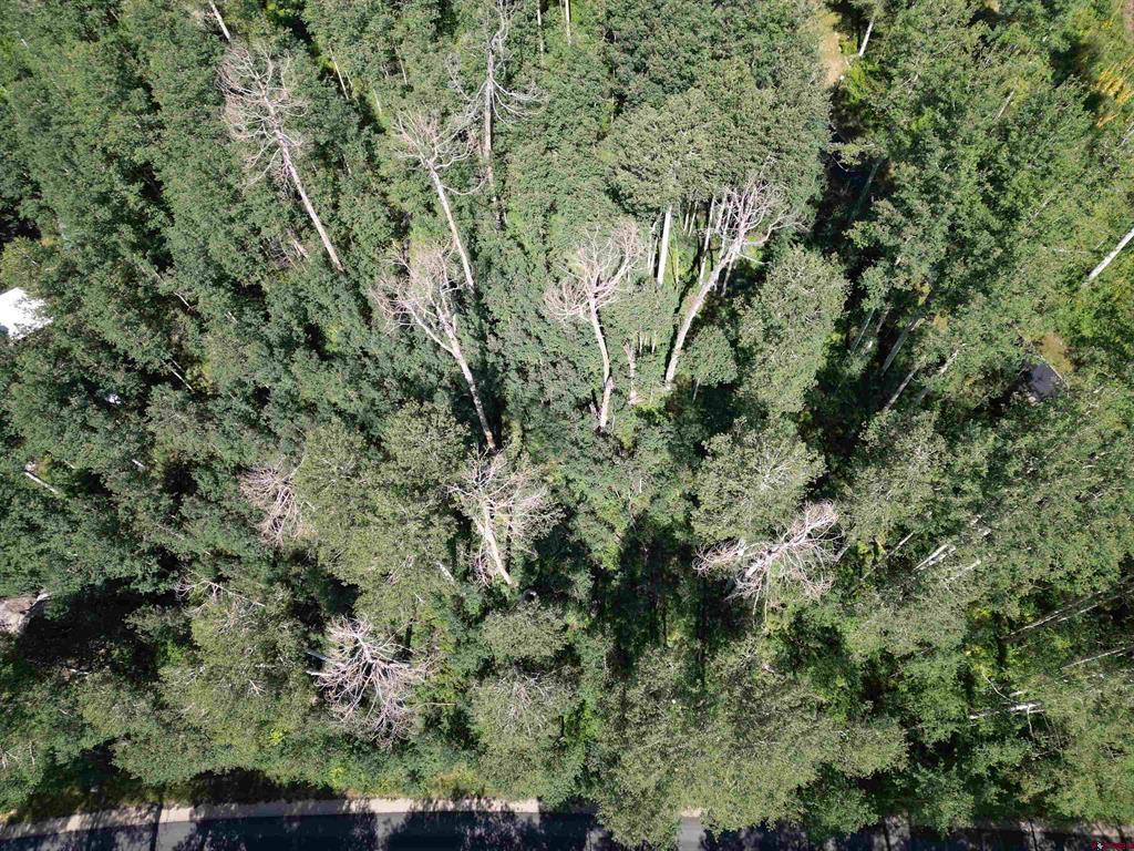 718 Hermosa Cliffs Road Durango CO 81303