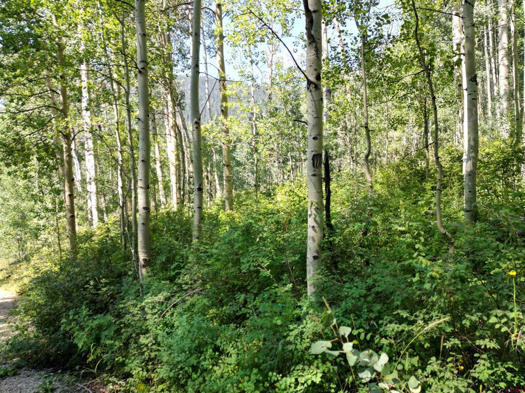 718 Hermosa Cliffs Road Durango CO 81303