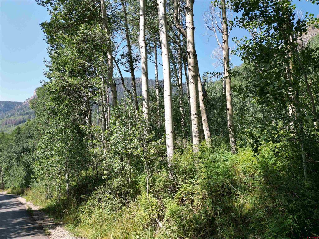 718 Hermosa Cliffs Road Durango CO 81303