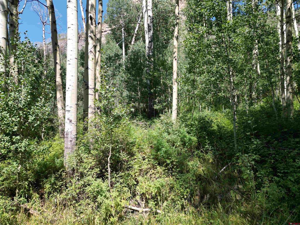 718 Hermosa Cliffs Road Durango CO 81303
