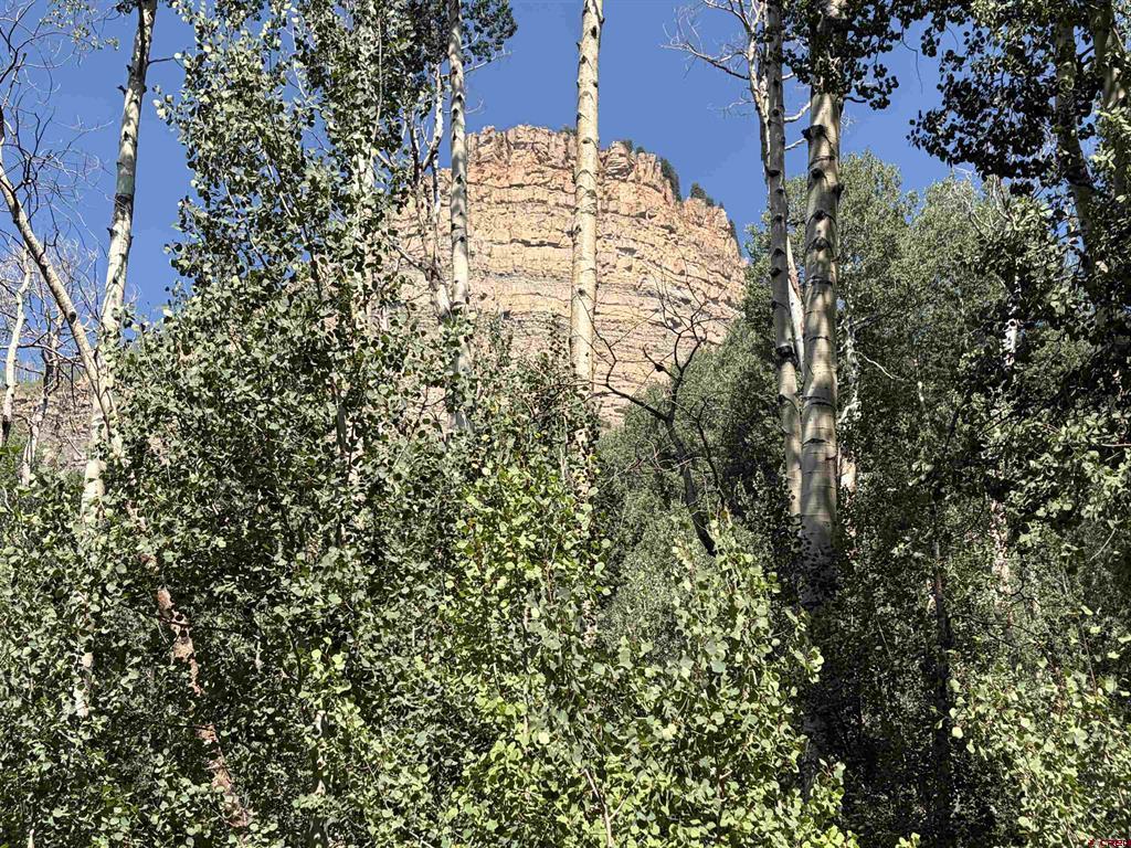 718 Hermosa Cliffs Road Durango CO 81303