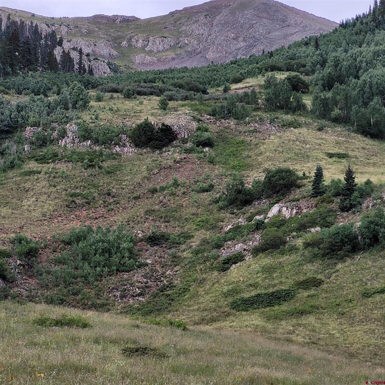 Tbd Cr 124 Hesperus CO 81326