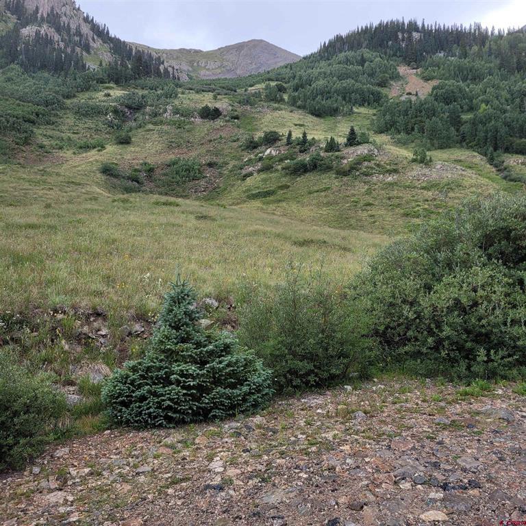 Tbd Cr 124 Hesperus CO 81326