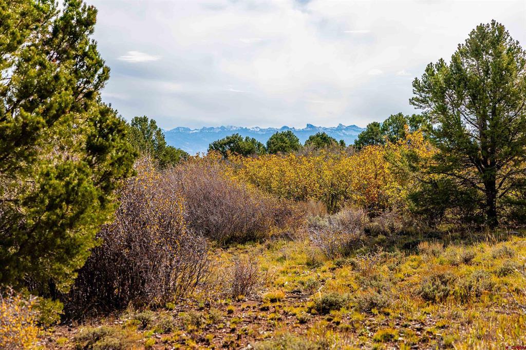 Tbd Sims Mesa Road Montrose CO 81403