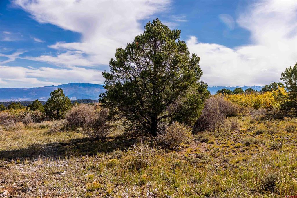 Tbd Sims Mesa Road Montrose CO 81403