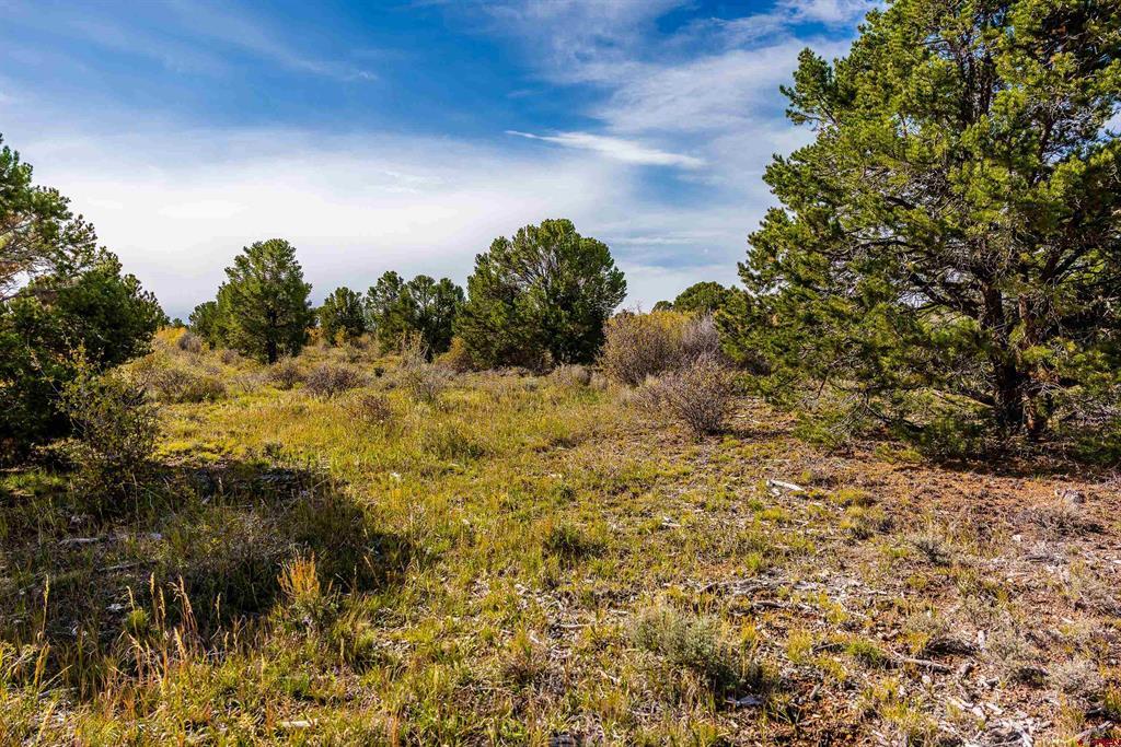 Tbd Sims Mesa Road Montrose CO 81403
