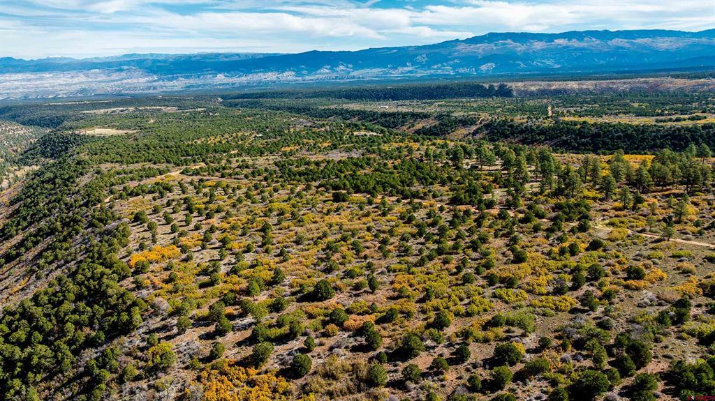 Tbd Sims Mesa Road Montrose CO 81403