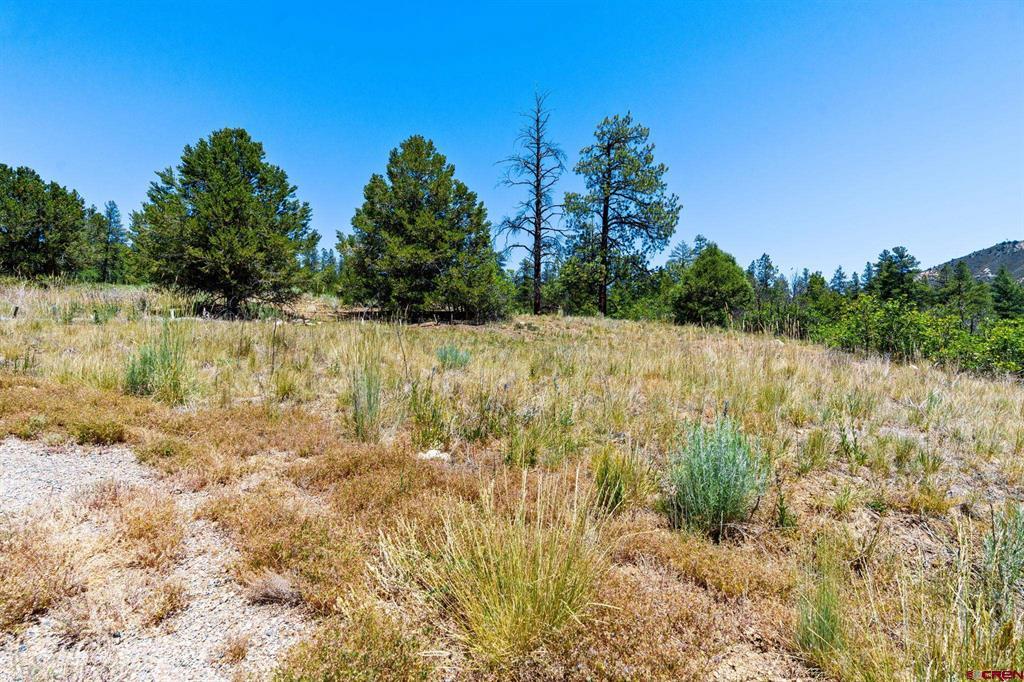 145 Wild Chives Court Durango CO 81301