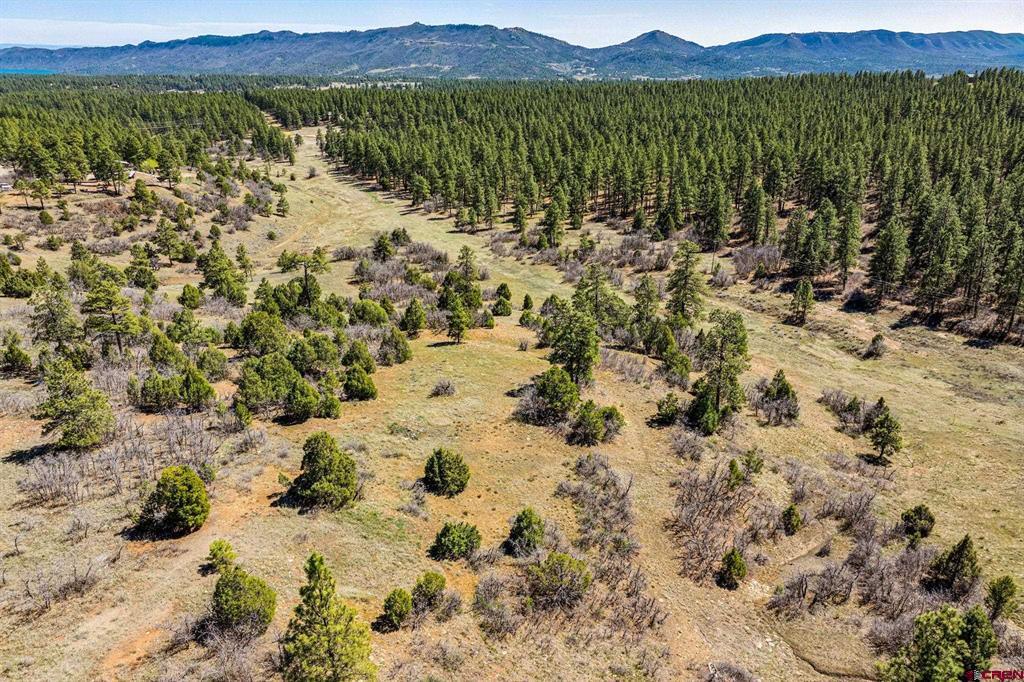 1963 County Road 125 Hesperus CO 81326