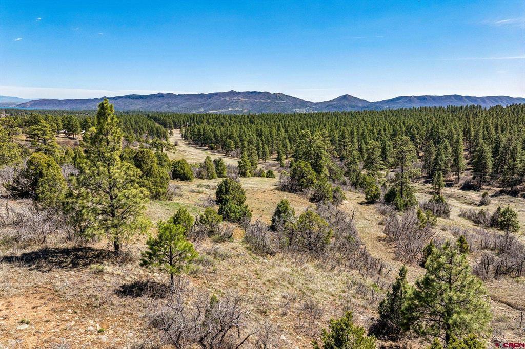 1963 County Road 125 Hesperus CO 81326