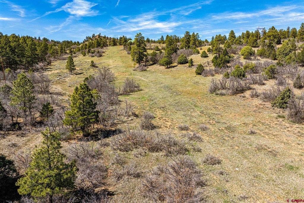 1963 County Road 125 Hesperus CO 81326