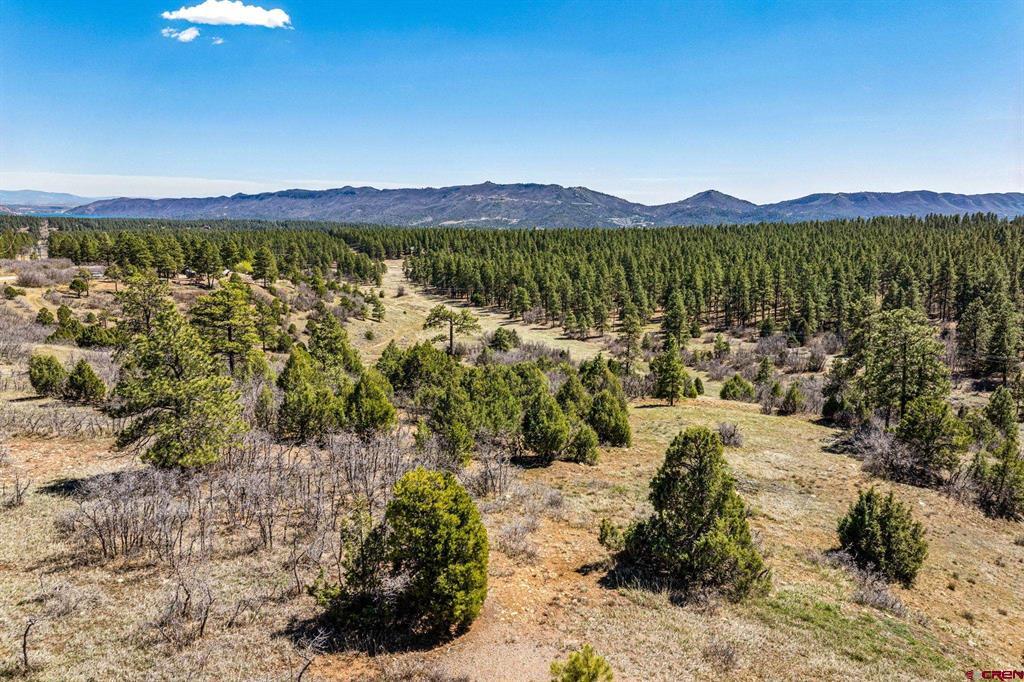1963 County Road 125 Hesperus CO 81326