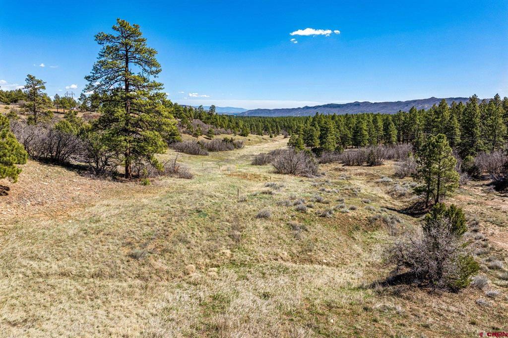 1963 County Road 125 Hesperus CO 81326