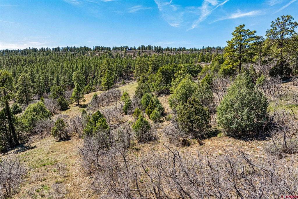 1963 County Road 125 Hesperus CO 81326