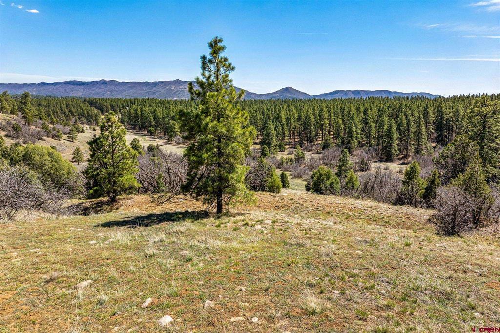 1963 County Road 125 Hesperus CO 81326