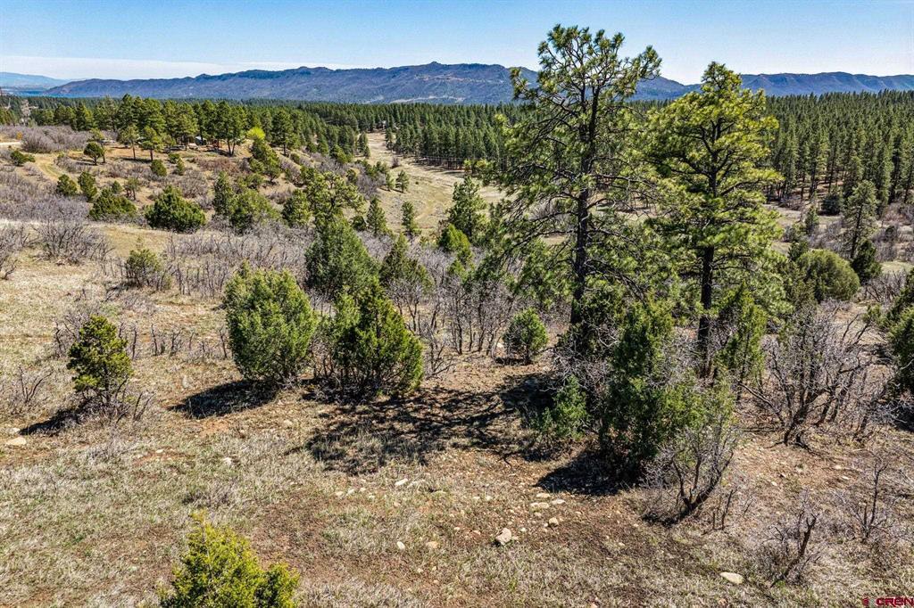 1963 County Road 125 Hesperus CO 81326