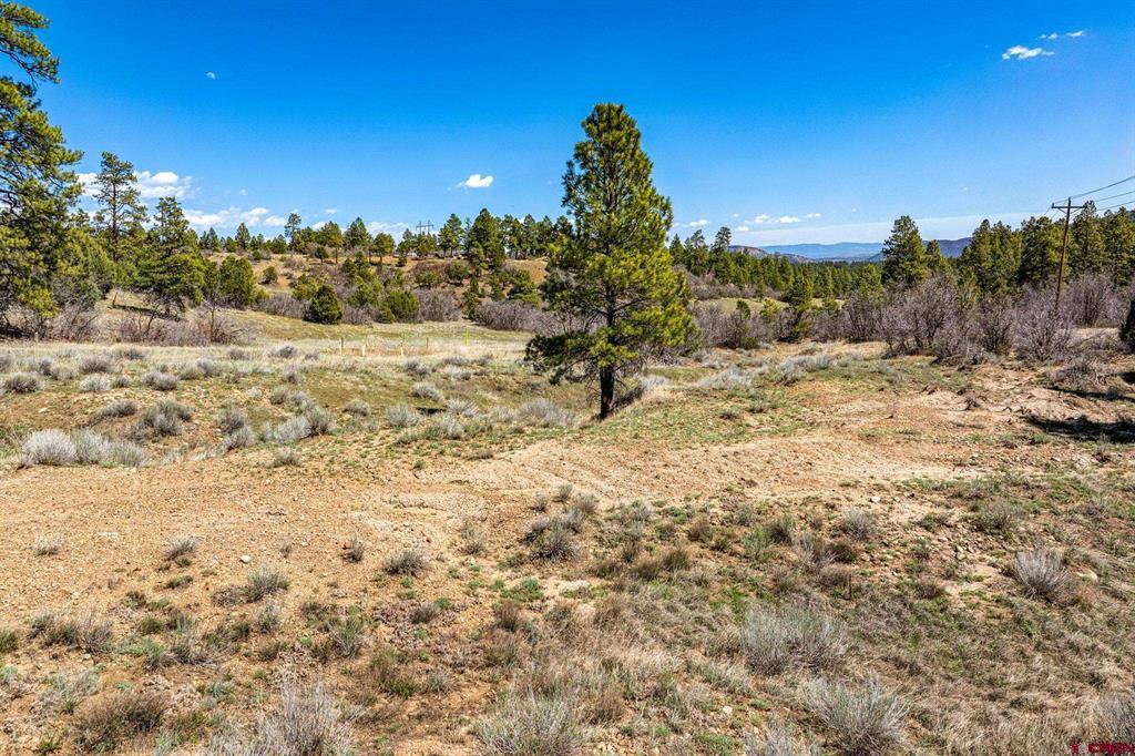 1963 County Road 125 Hesperus CO 81326