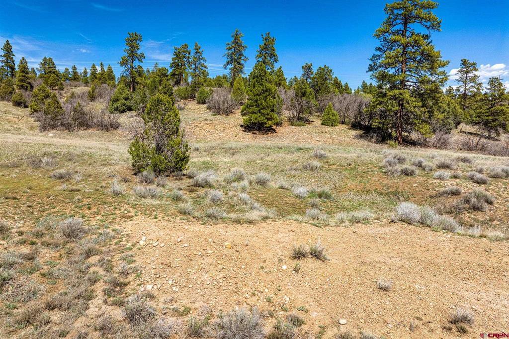 1963 County Road 125 Hesperus CO 81326
