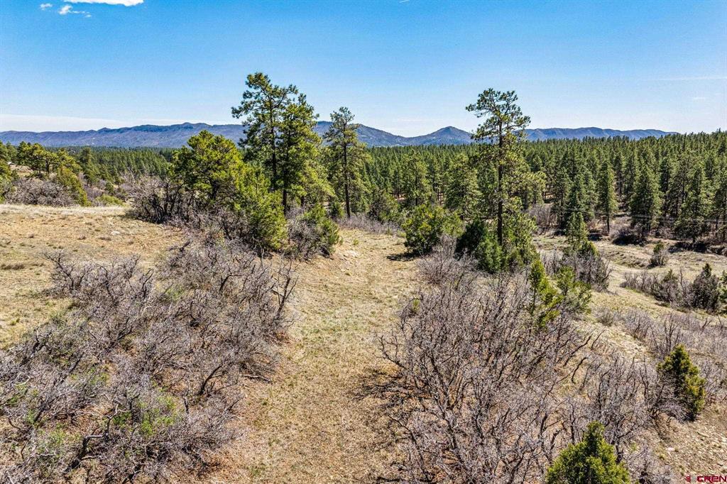 1963 County Road 125 Hesperus CO 81326