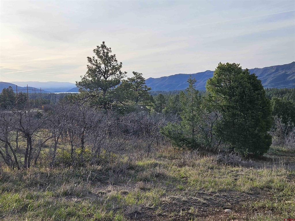 1963 County Road 125 Hesperus CO 81326