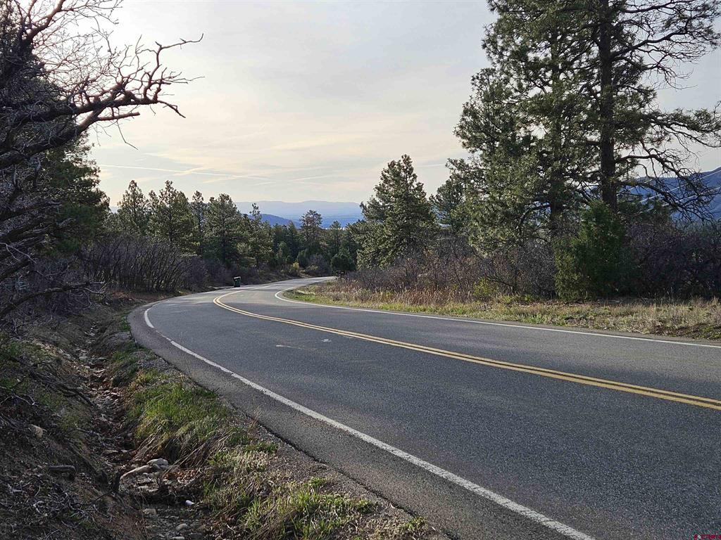 1963 County Road 125 Hesperus CO 81326
