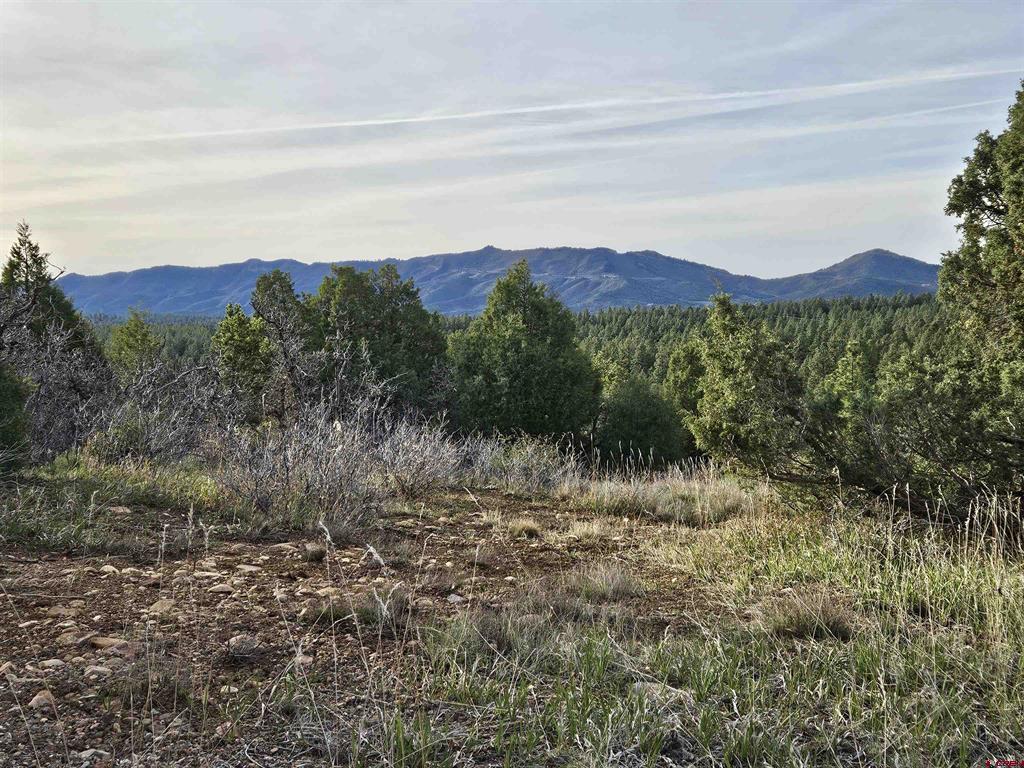 1963 County Road 125 Hesperus CO 81326