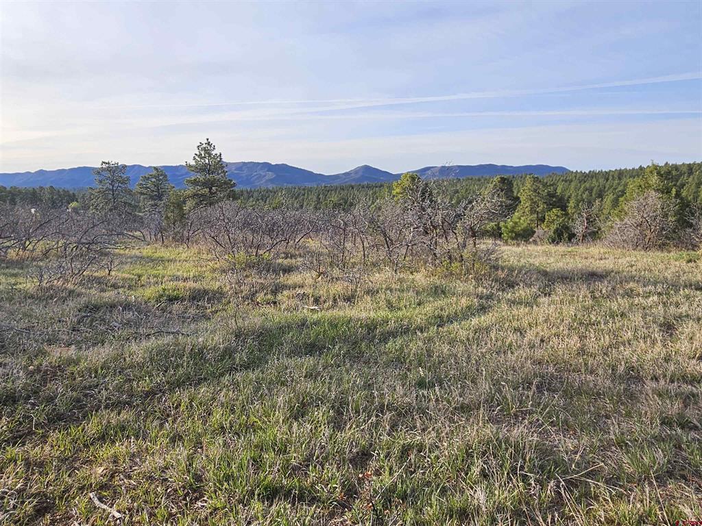 1963 County Road 125 Hesperus CO 81326