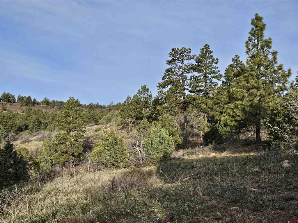 1963 County Road 125 Hesperus CO 81326