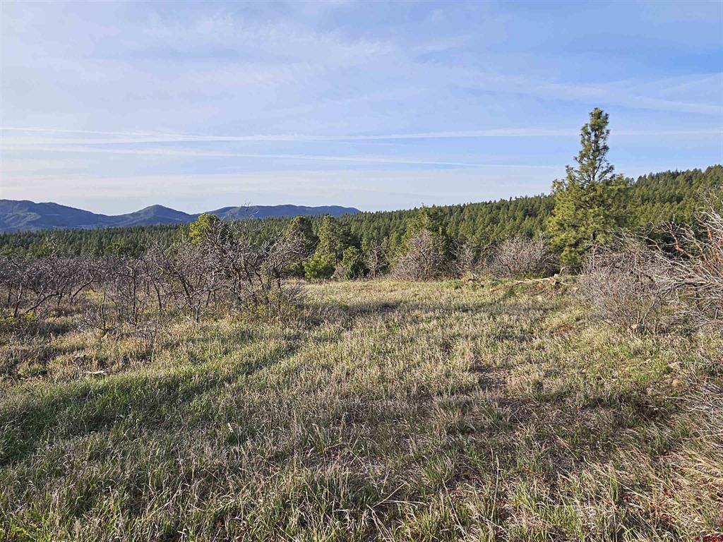 1963 County Road 125 Hesperus CO 81326